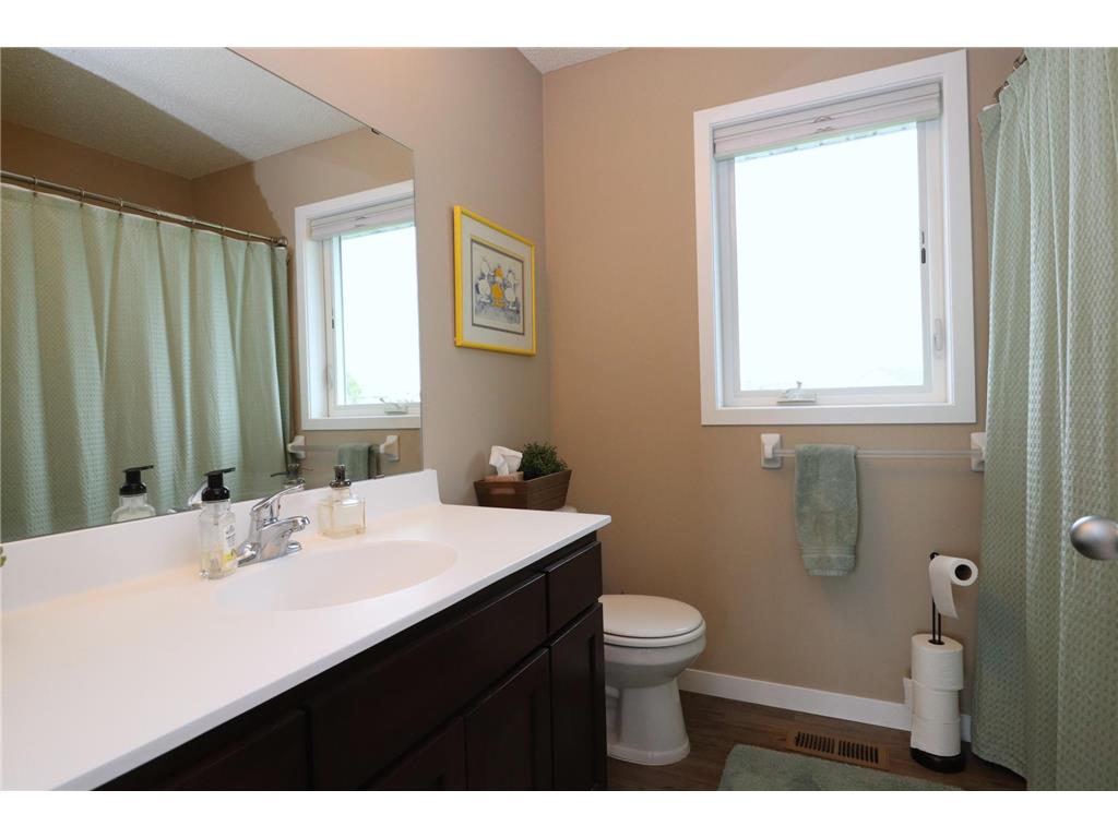 19247 Hilldale Avenue Lakeville MN 55044 7086871 image36