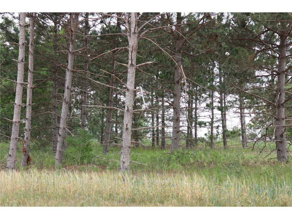 1925 Long Pine Drive Detroit Lakes MN 56501 6325173 image8