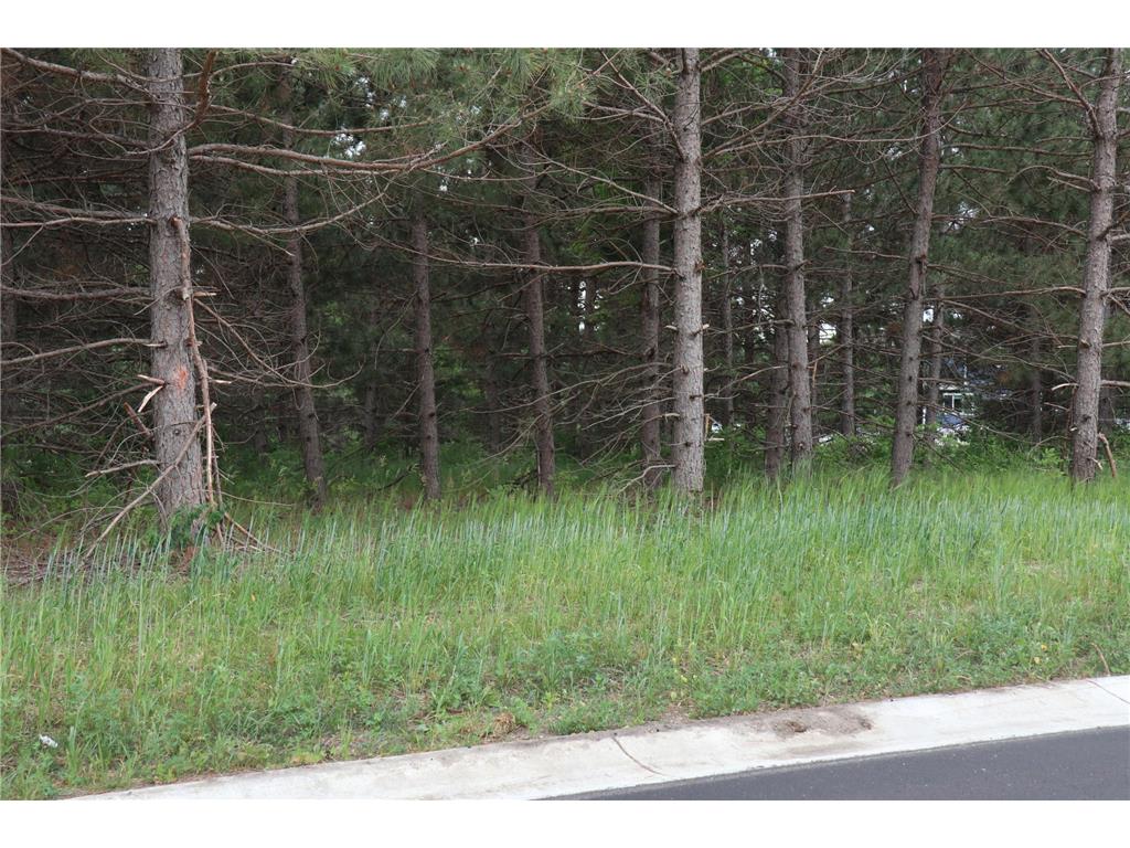 1925 Long Pine Drive Detroit Lakes MN 56501 6325173 image9