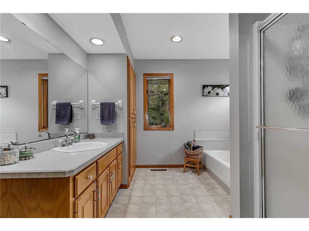 19250 Leyte Street NE East Bethel MN 55092 7056758 image21