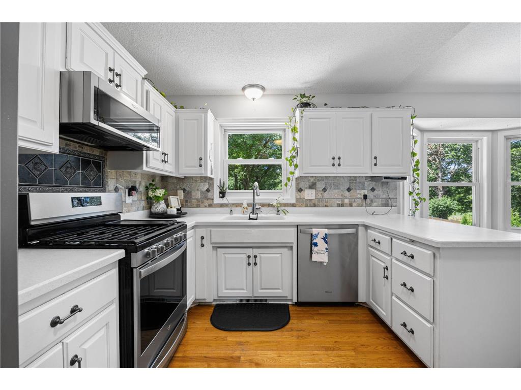 19266 Zane Street NW Elk River MN 55330 7097577 image19