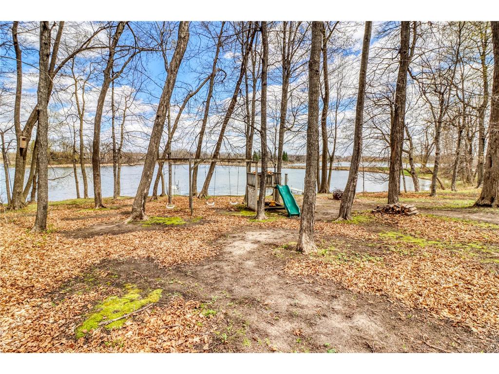 19272 Sherman Shores Road Audubon MN 56511 - Little Cormorant 7070618 image38