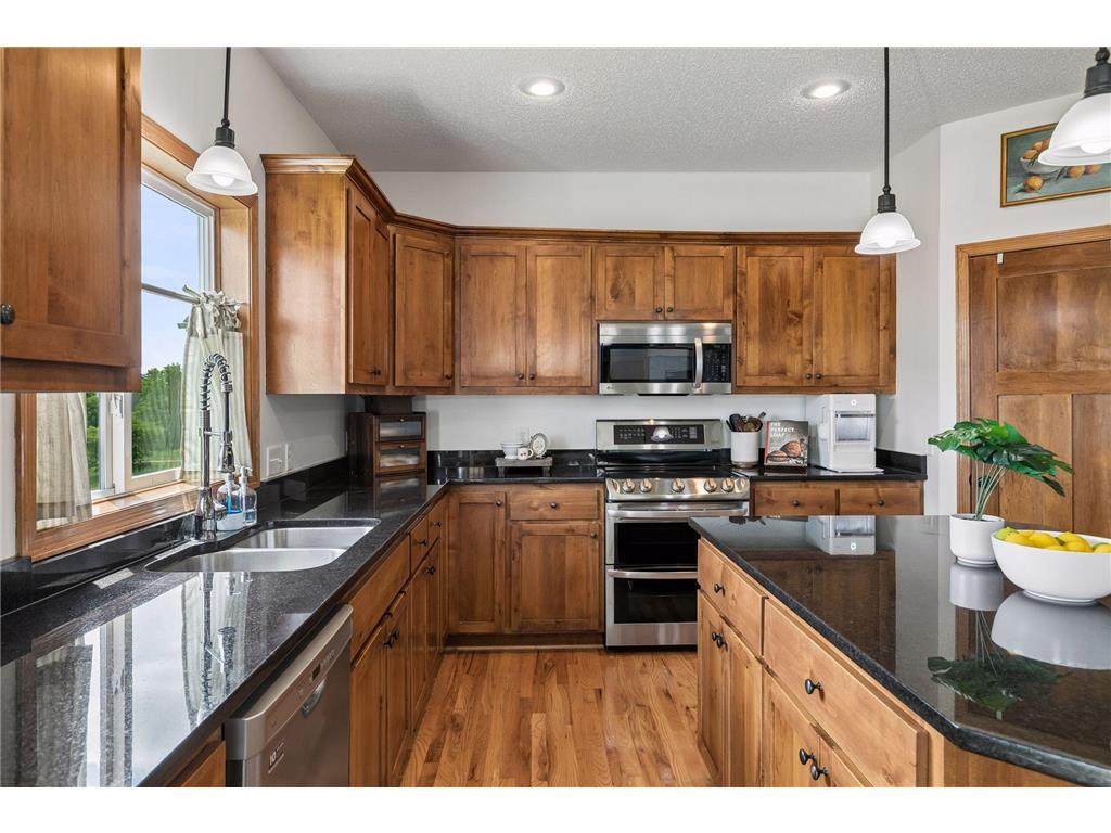 19280 Claremont Drive Empire Twp MN 55024 7095066 image20