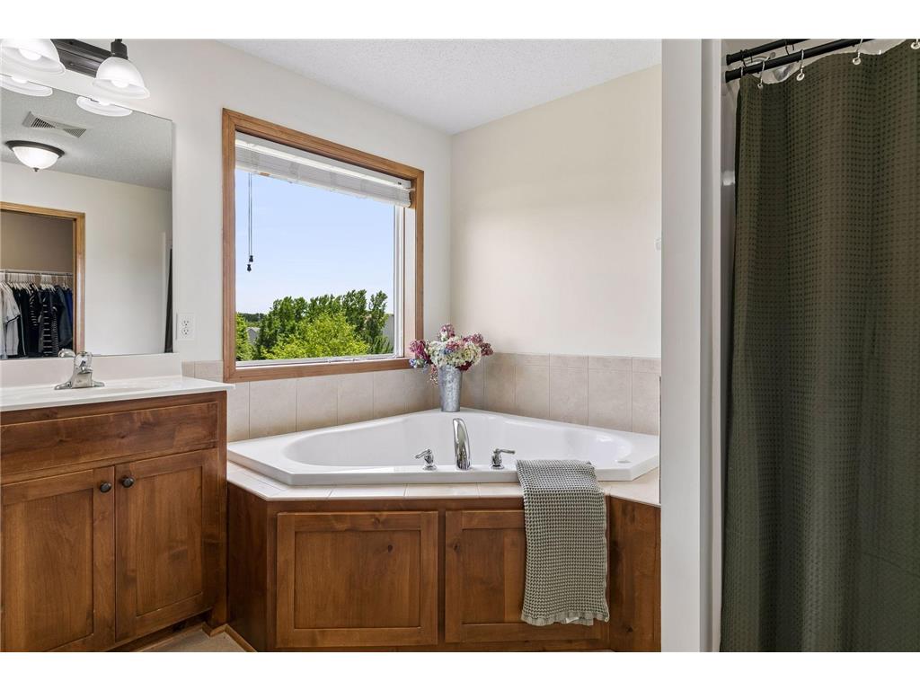 19280 Claremont Drive Empire Twp MN 55024 7095066 image22