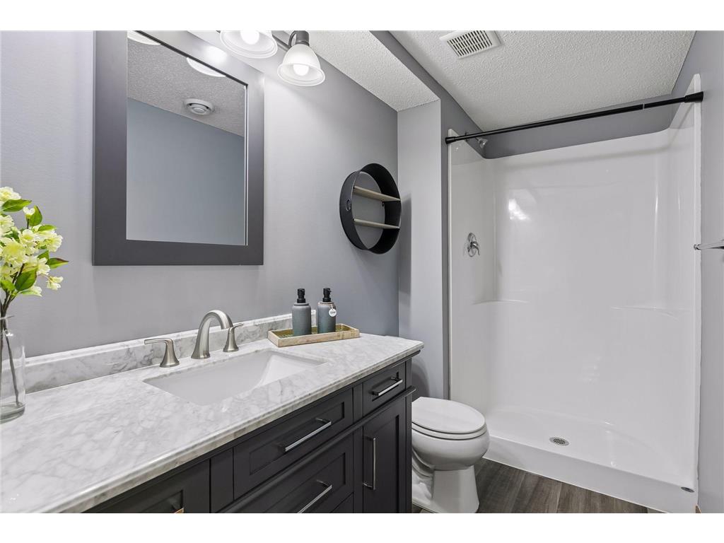 19280 Claremont Drive Empire Twp MN 55024 7095066 image35