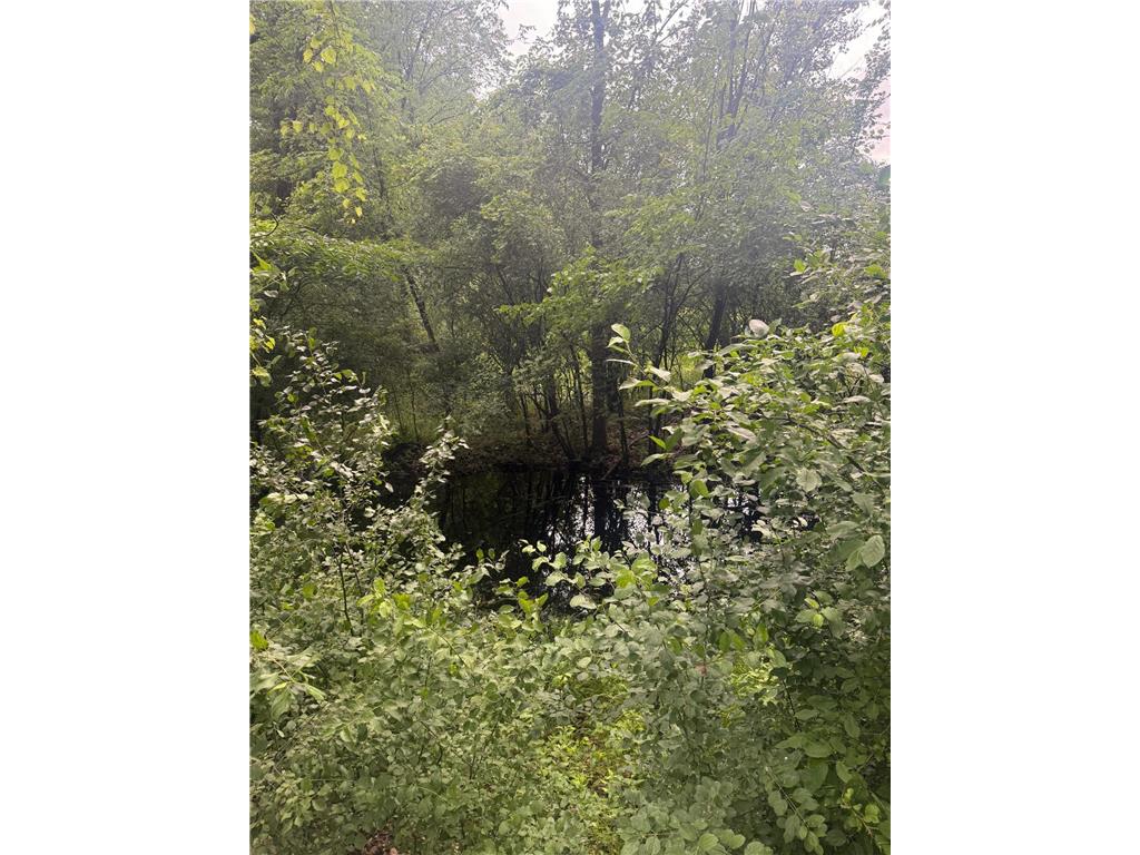 19289 Upland Street Elk River MN 55330 6746912 image10