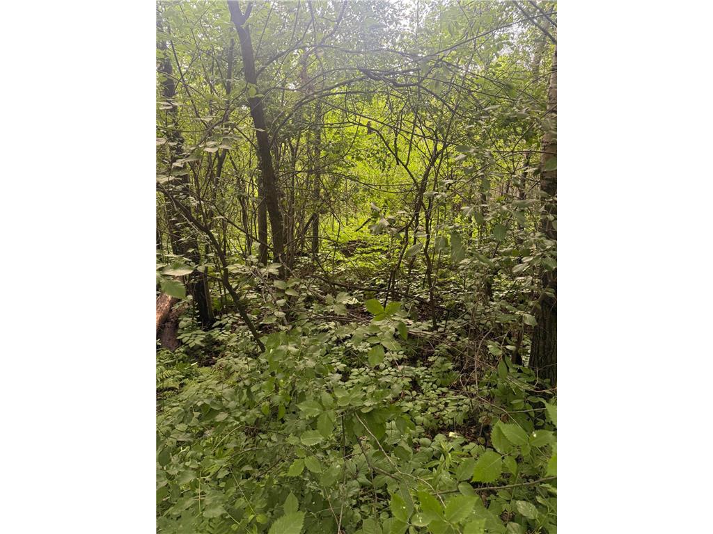 19289 Upland Street Elk River MN 55330 6746912 image11