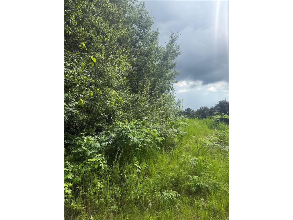 19289 Upland Street Elk River MN 55330 6746912 image13