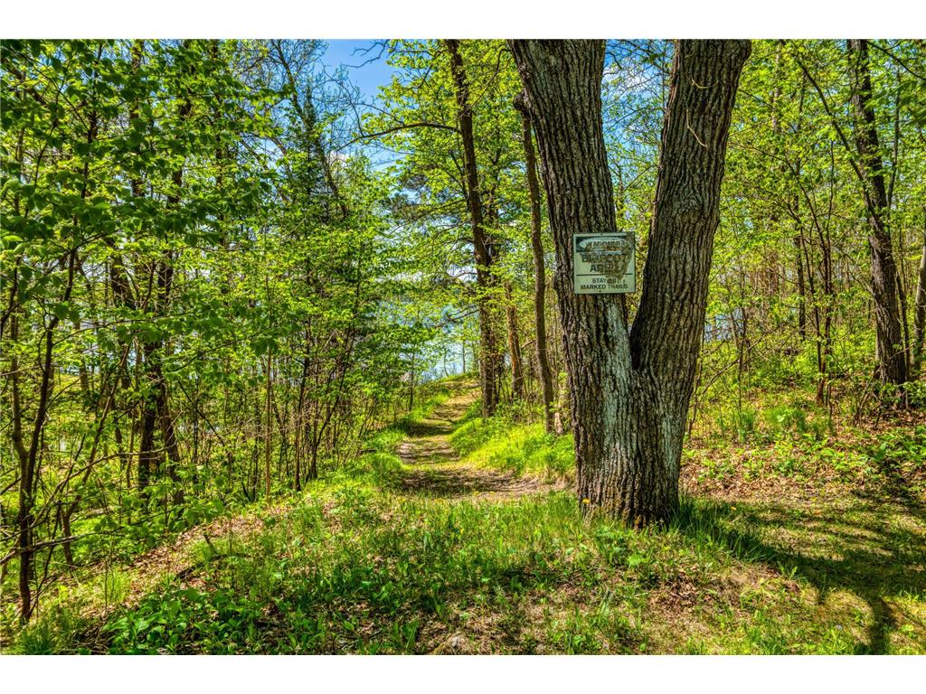 19296 Necktie Lane Lake George Twp MN 56458 - George Lake 7078220 image38