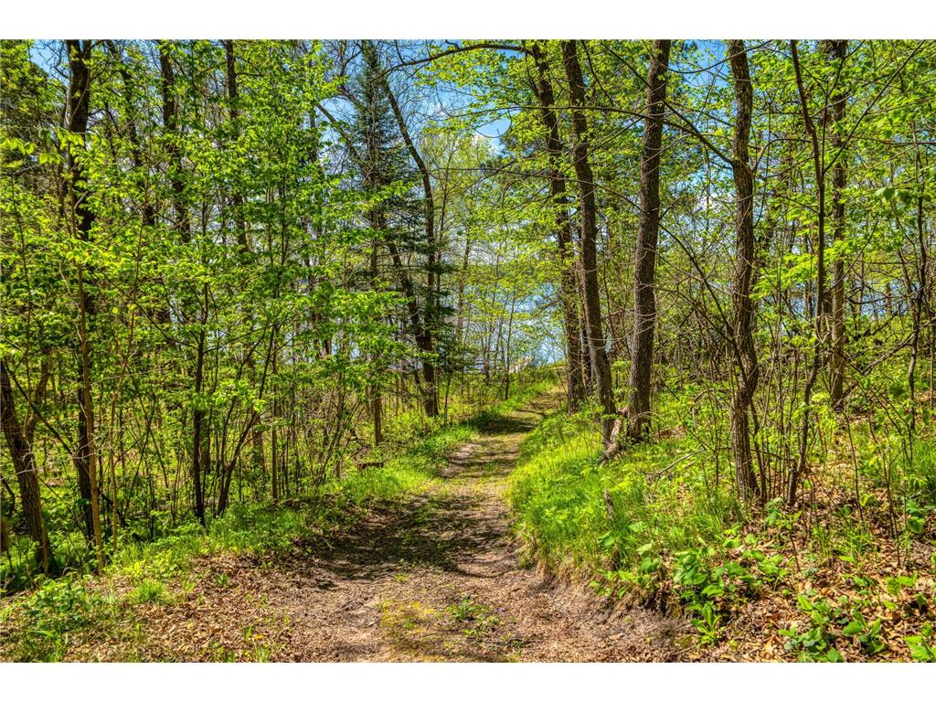 19296 Necktie Lane Lake George Twp MN 56458 - George Lake 7078220 image39