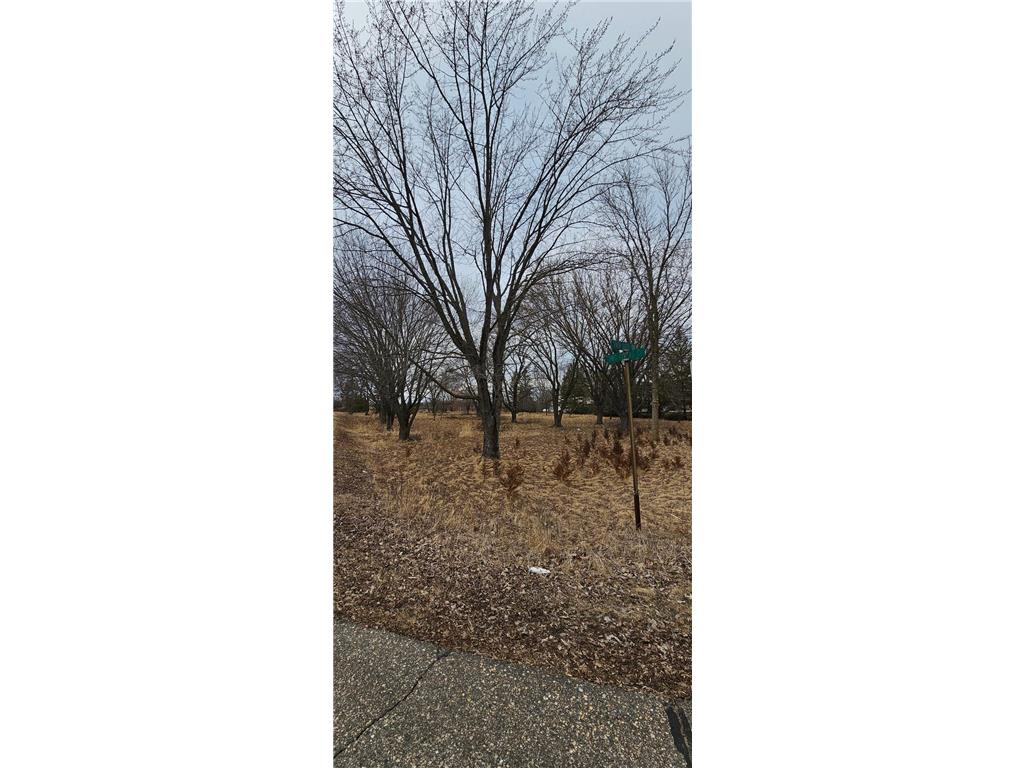 19302 Two Rivers Road Holding Twp MN 56310 - Two Rivers 6687635 image1