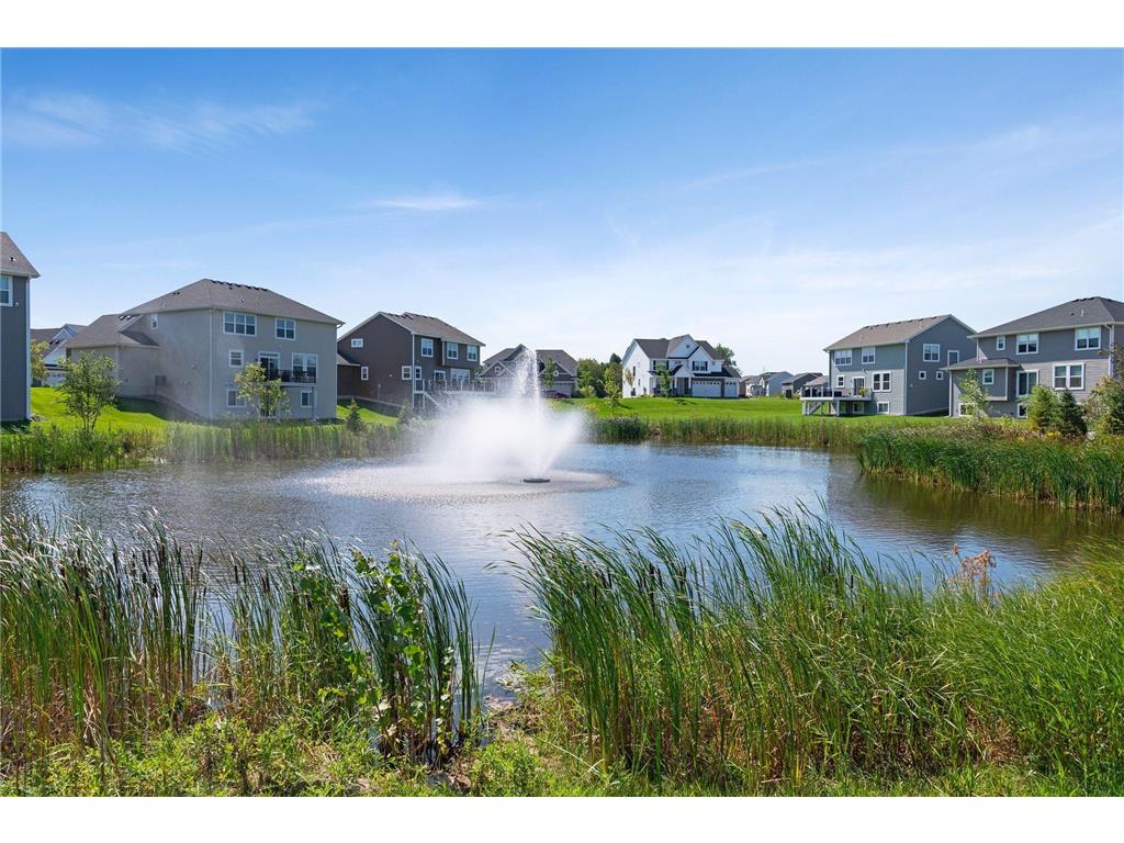 19314 Primrose Lane Corcoran MN 55340 7055401 image43