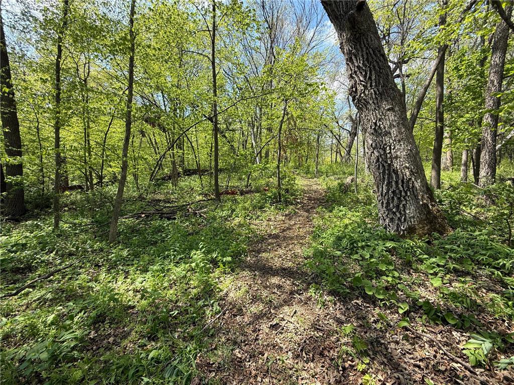 19318 308th Avenue Underwood MN 56586 - Long Lake 7078237 image10