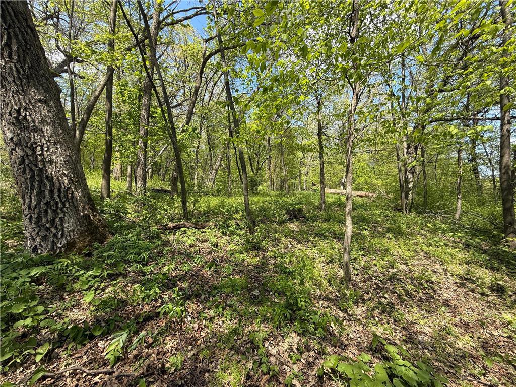 19318 308th Avenue Underwood MN 56586 - Long Lake 7078237 image11
