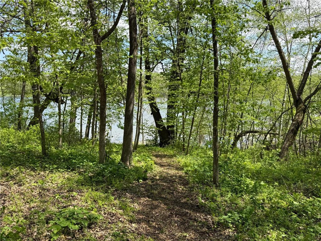 19318 308th Avenue Underwood MN 56586 - Long Lake 7078237 image13