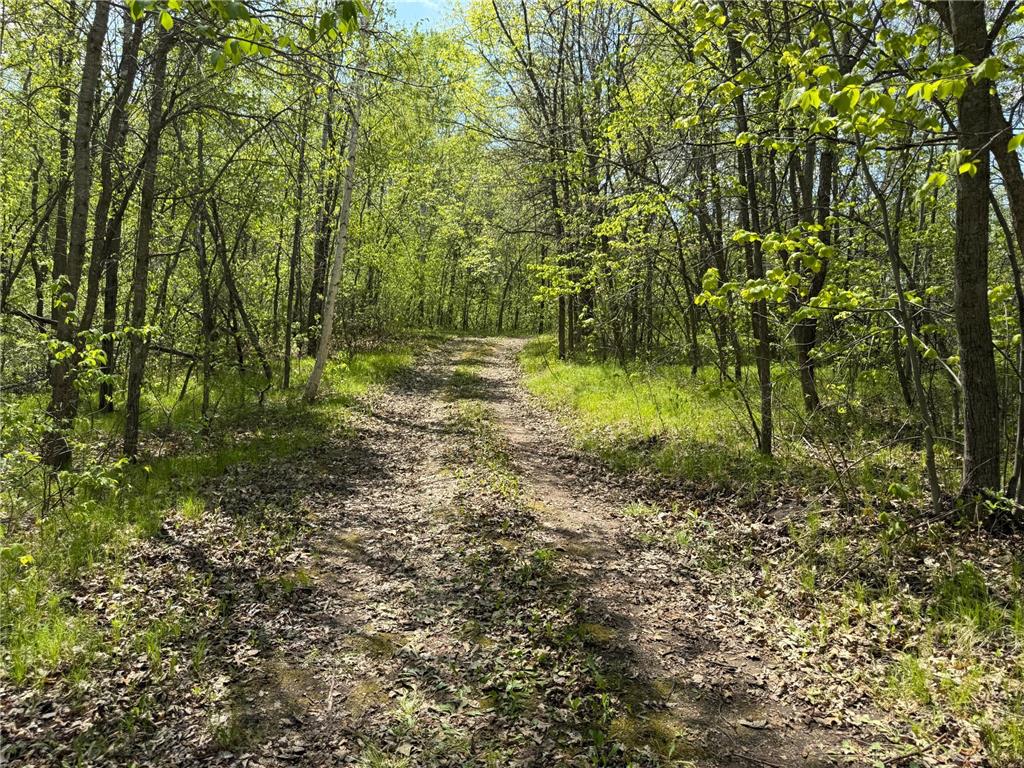 19318 308th Avenue Underwood MN 56586 - Long Lake 7078237 image2