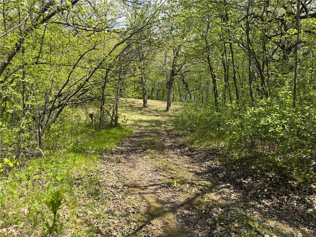 19318 308th Avenue Underwood MN 56586 - Long Lake 7078237 image5