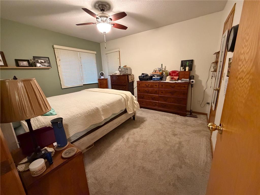 1932 Wilby Road Albert Lea MN 56007 - Fountain 6810903 image7