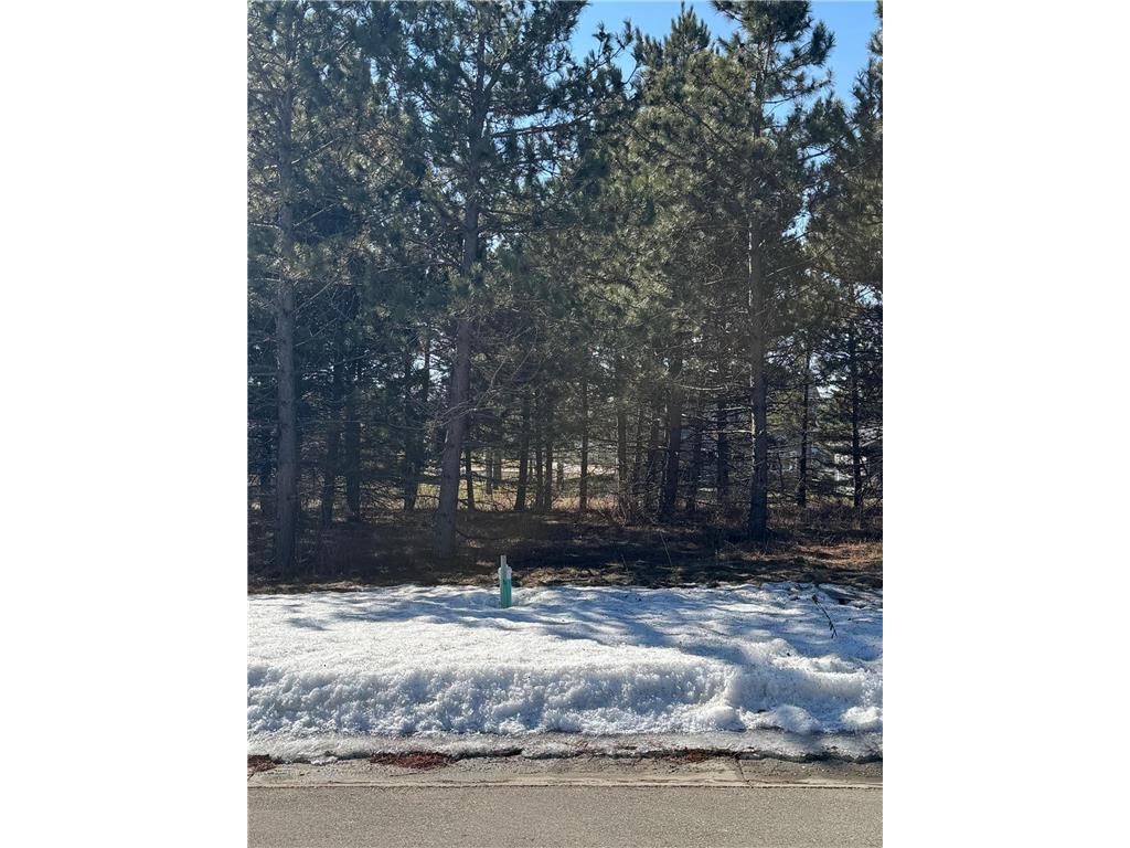 1933 Long Pine Drive Detroit Lakes MN 56501 7041494 image3