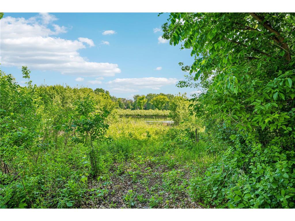 19332 Embers Avenue Farmington MN 55024 7077766 image40