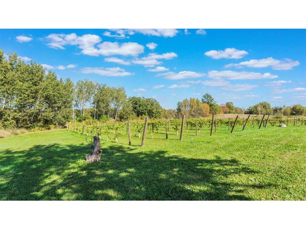 19334 105th Avenue Hayland Twp MN 56353 7023973 image54