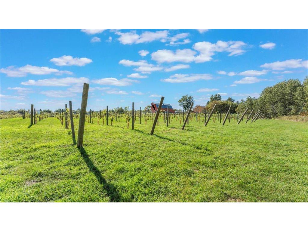 19334 105th Avenue Hayland Twp MN 56353 7023973 image56