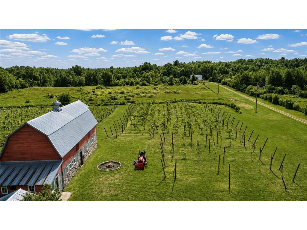19334 105th Avenue Hayland Twp MN 56353 7110766 image24