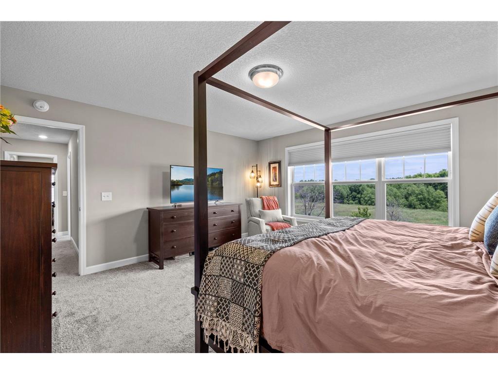 19334 Annabelle Lane Corcoran MN 55340 7090696 image31