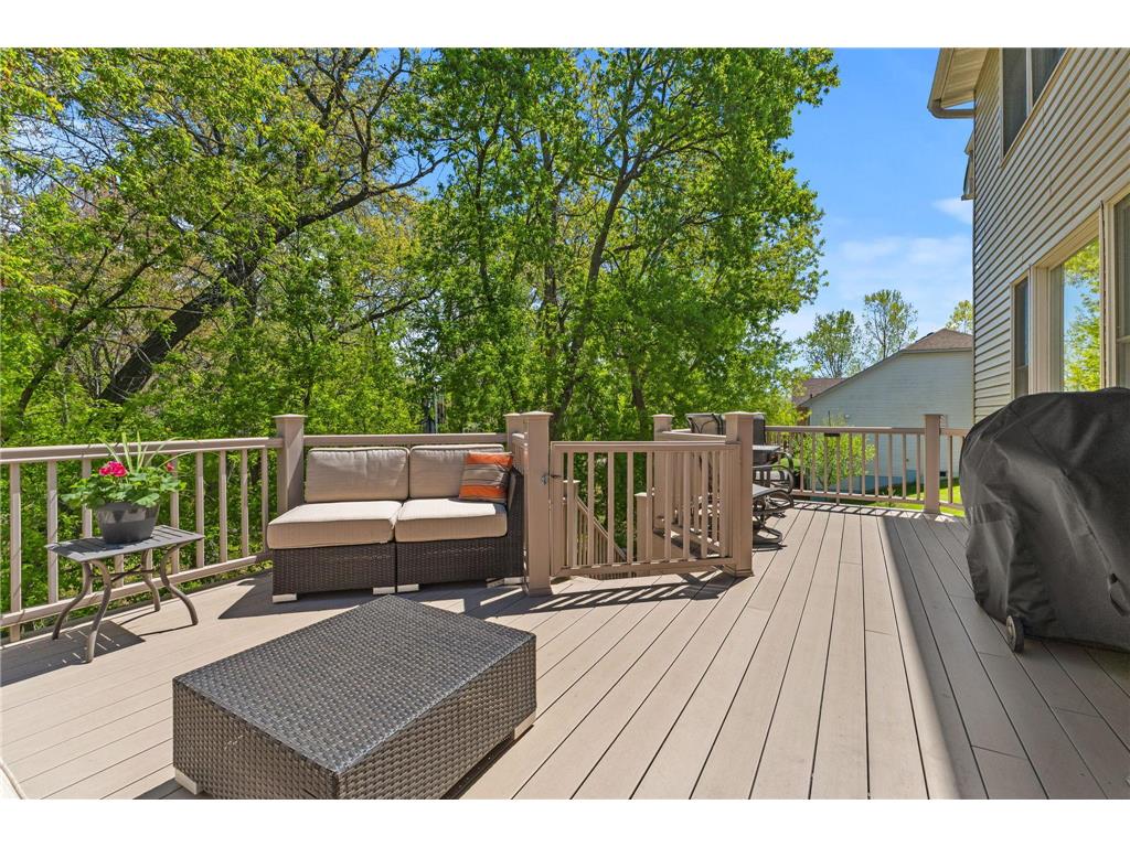 19337 Rawlins Street NW Elk River MN 55330 7069203 image45