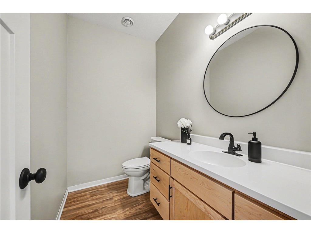 19347 Lake Volney Circle Lexington Twp MN 56057 7071735 image19