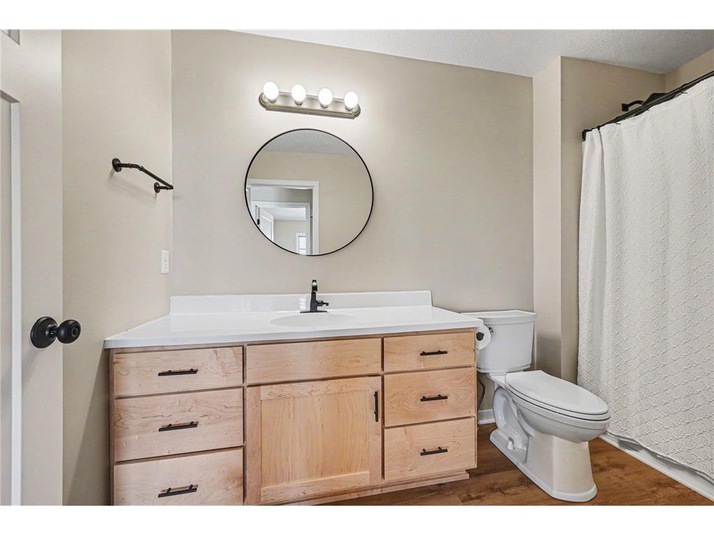 19347 Lake Volney Circle Lexington Twp MN 56057 7071735 image24