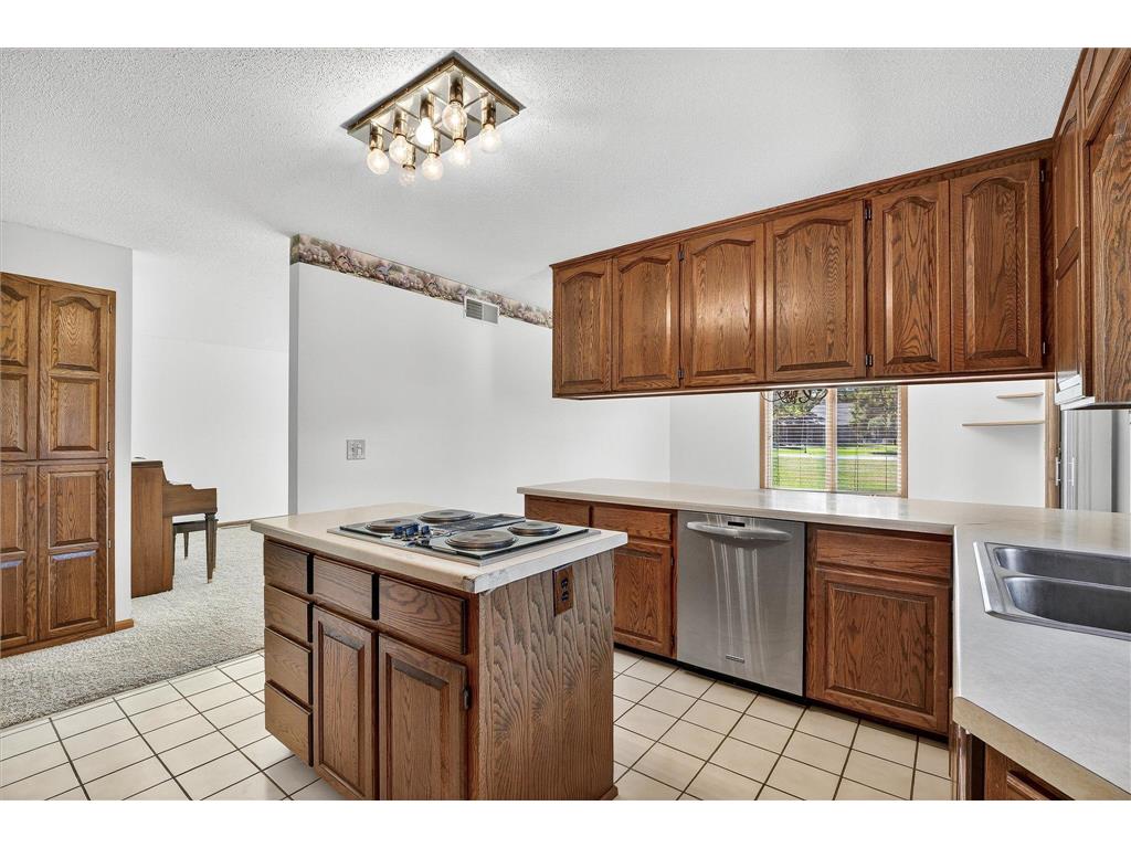 19348 180th Avenue NW Big Lake Twp MN 55309 6803561 image16