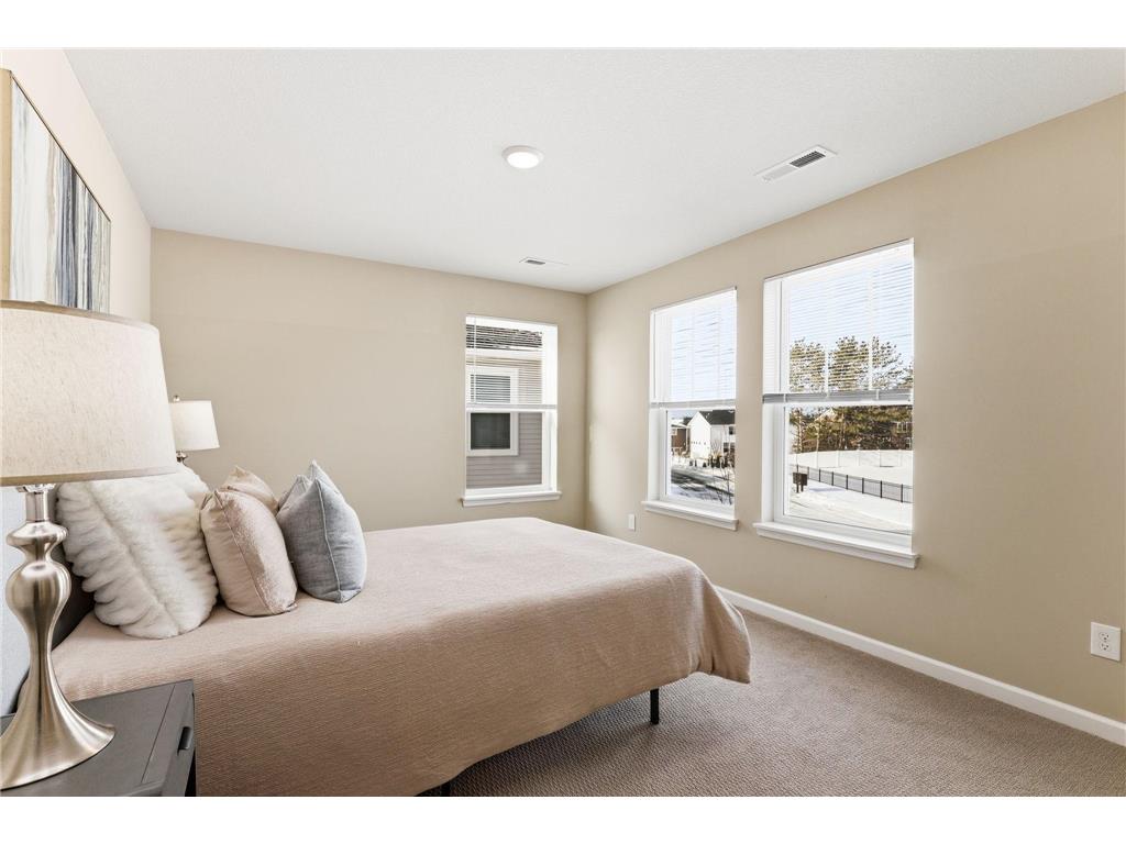 19357 Lupine Lane Corcoran MN 55340 7002559 image31