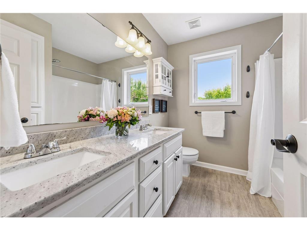 19364 Evening Star Way Farmington MN 55024 7064274 image38