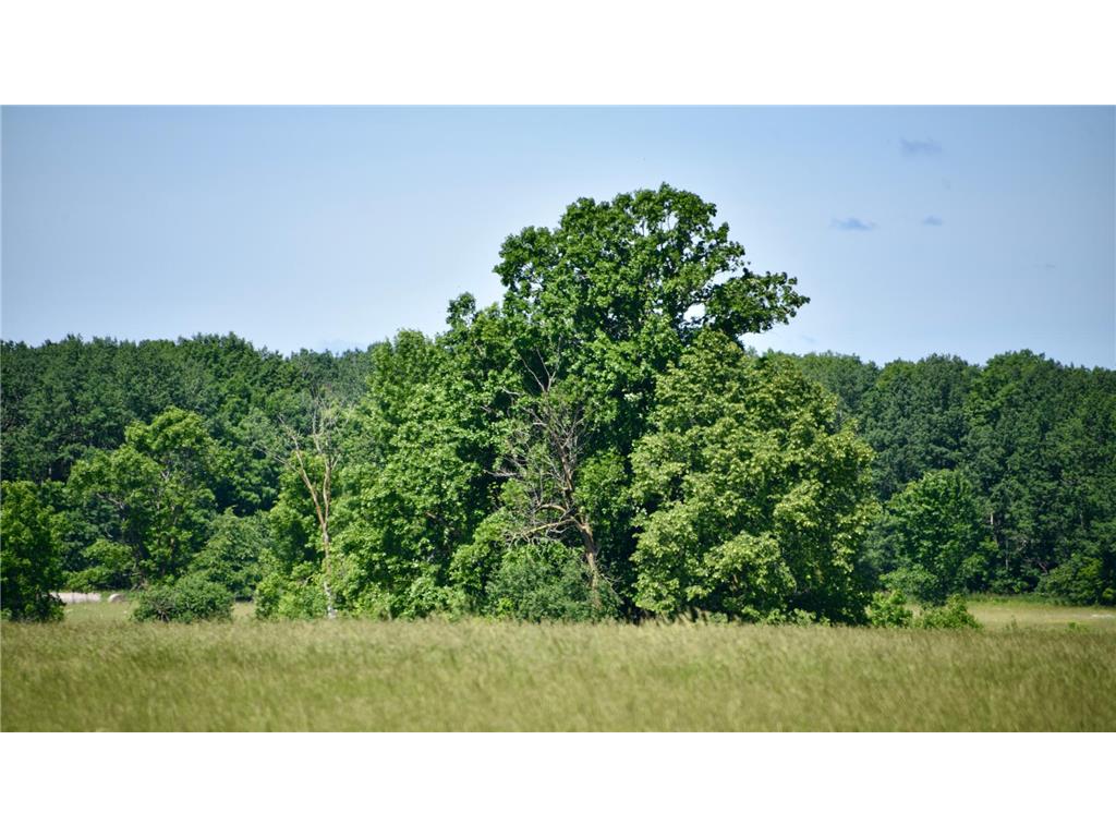 19367 150th Avenue Milaca MN 56353 7095355 image115