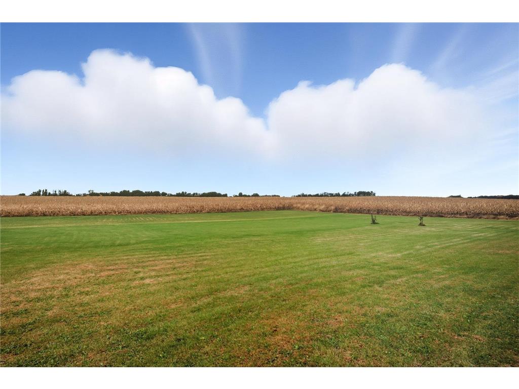 19383 Babcock Avenue Winsted Twp MN 55354 7026557 image6