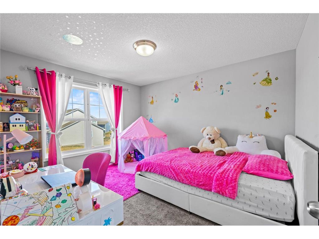 19387 Primrose Lane N Corcoran MN 55340 7060728 image24