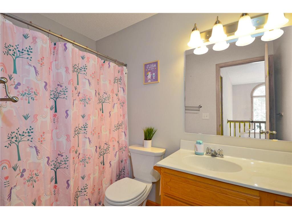 19389 Seymour Street NW Elk River MN 55330 7098837 image26