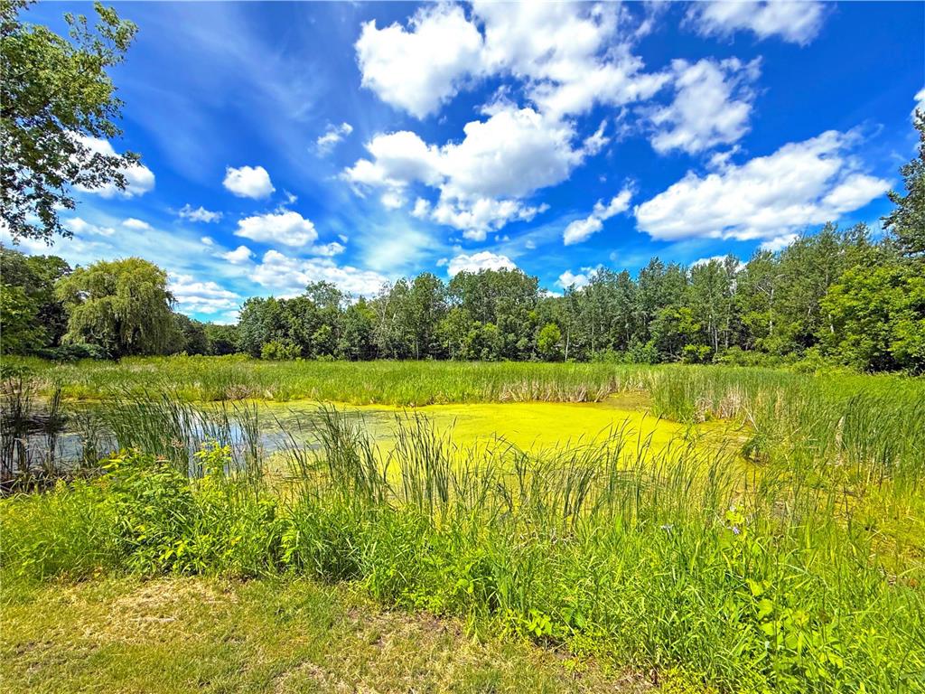 194 Elderberry Road Clearwater MN 55320 7090651 image31