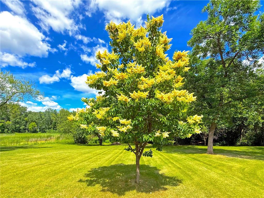 194 Elderberry Road Clearwater MN 55320 7090651 image32