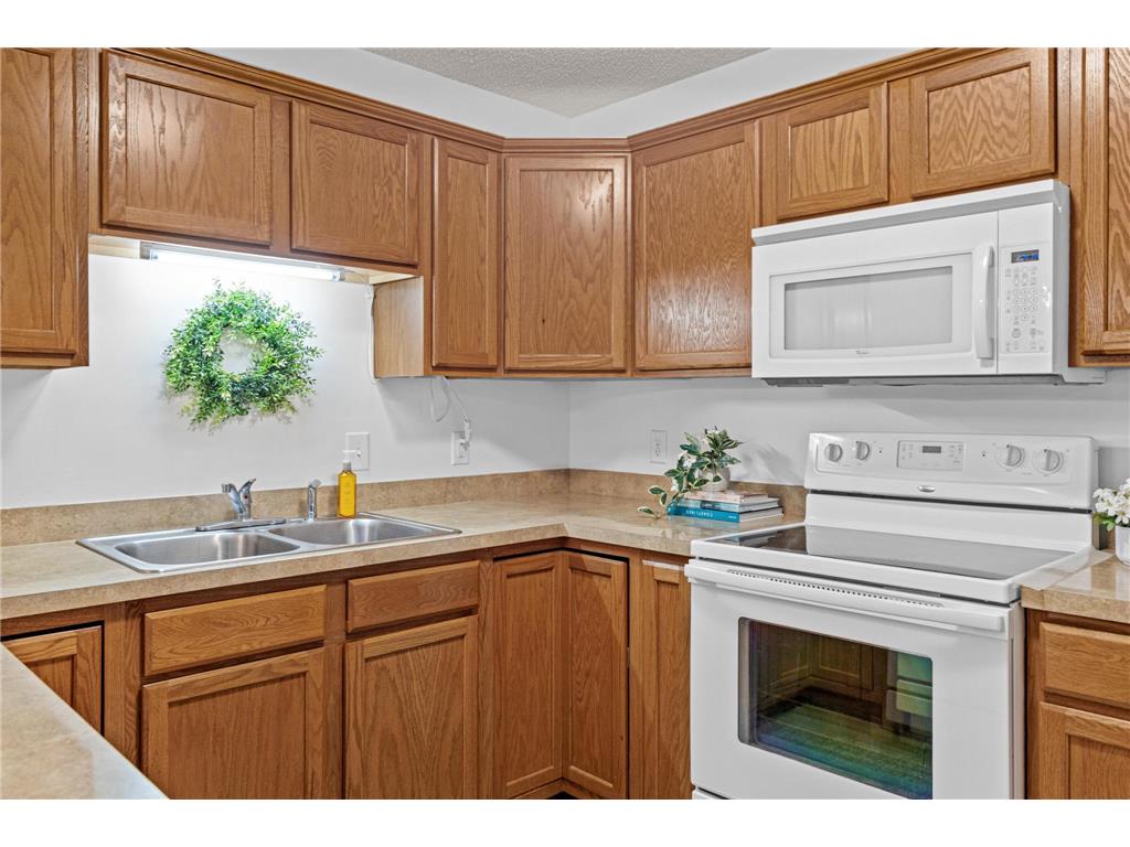 194 Kings Pointe Drive Delano MN 55328 7092846 image10