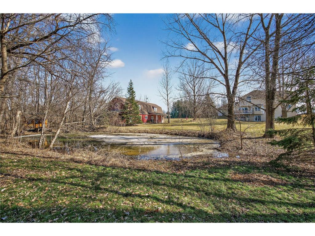 19430 Marmoset Street NW Nowthen MN 55303 7029515 image60