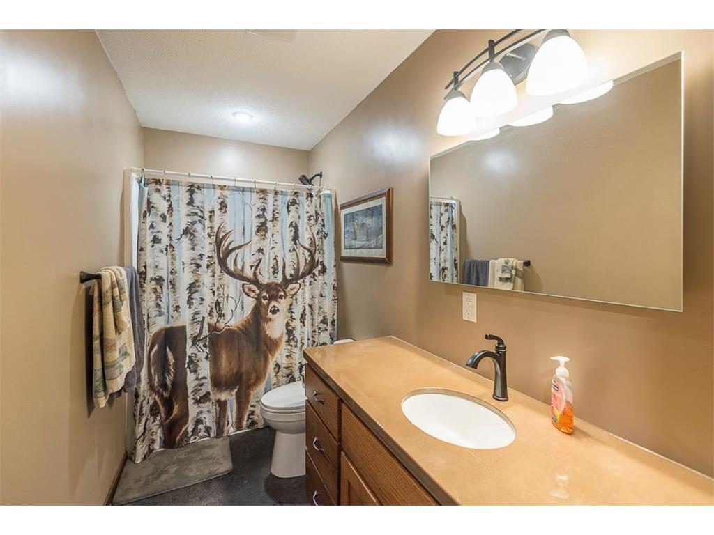 19450 W Tranquility Drive Brainerd MN 56401 7070331 image18