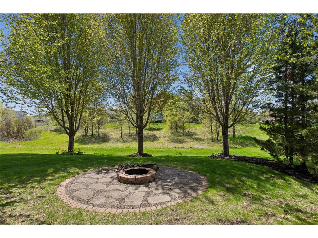19455 Century Road Empire Twp MN 55024 7051513 image42