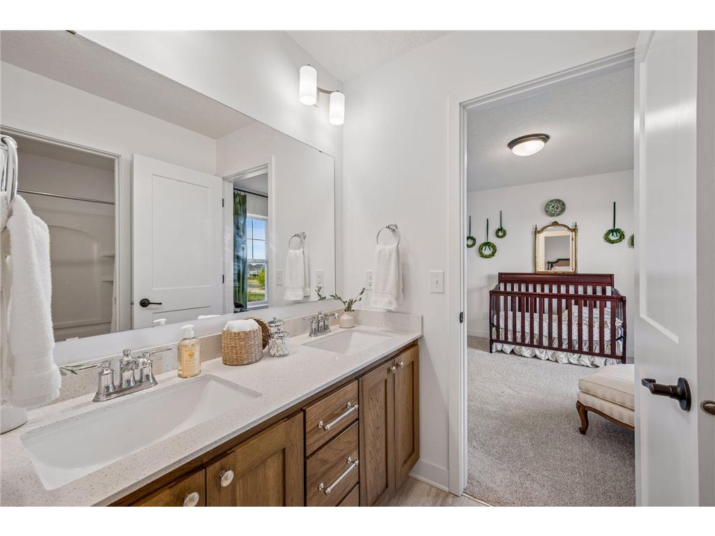 19462 Meadow Rue Court Corcoran MN 55340 7052118 image34