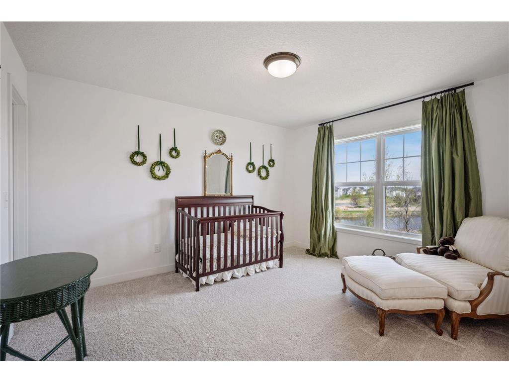 19462 Meadow Rue Court Corcoran MN 55340 7052118 image35