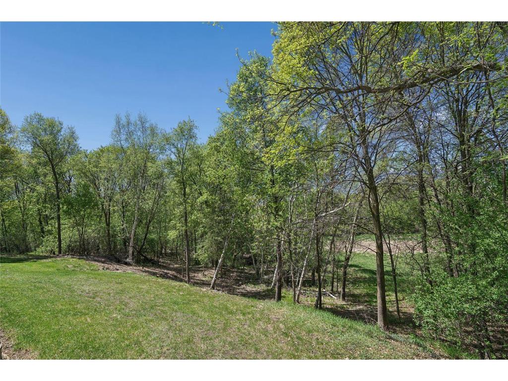 19462 Ogden Street NW Elk River MN 55330 7074934 image69