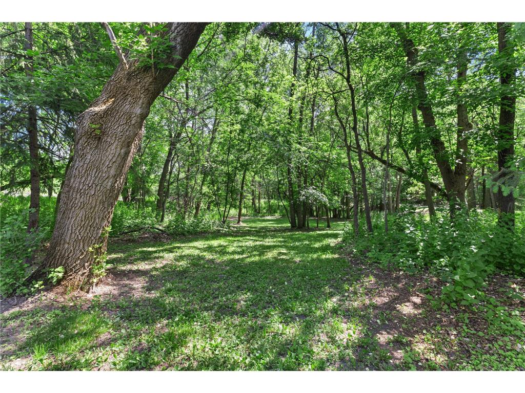 19463 Proctor Road NW Elk River MN 55330 7064871 image92