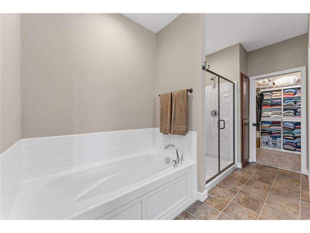19472 Claremont Circle #1003 Empire Twp MN 55024 7101802 image15