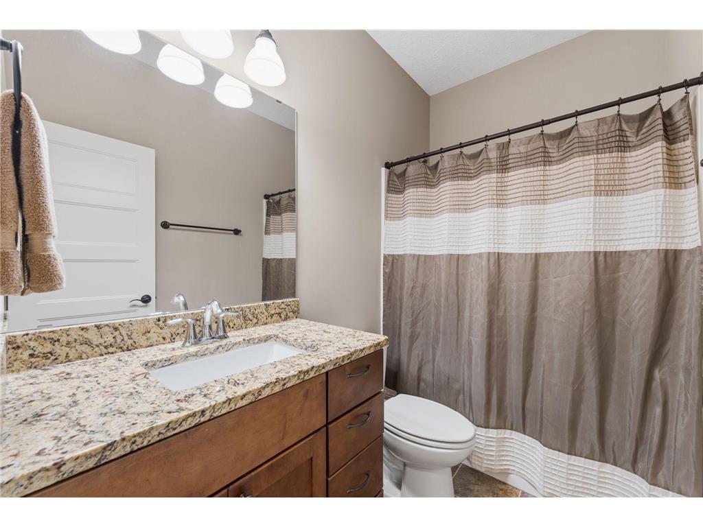 19472 Claremont Circle #1003 Empire Twp MN 55024 7101802 image17